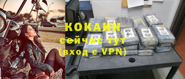 мяу мяу мука Беслан