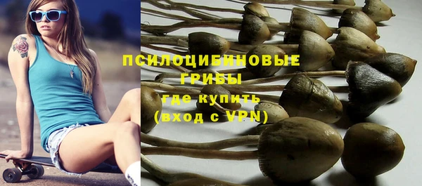 ECSTASY Надым