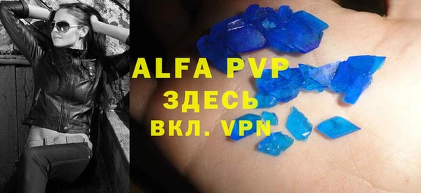 мяу мяу мука Беслан